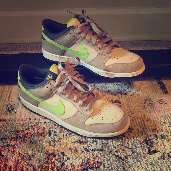 Nike Other - 💥Nike Low Pro Dunks💥